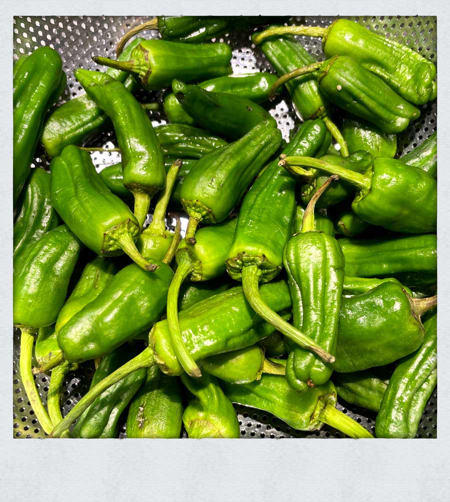 pimientos